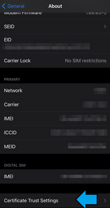Go back to Settings > General > About > Certificate Trust Settings.